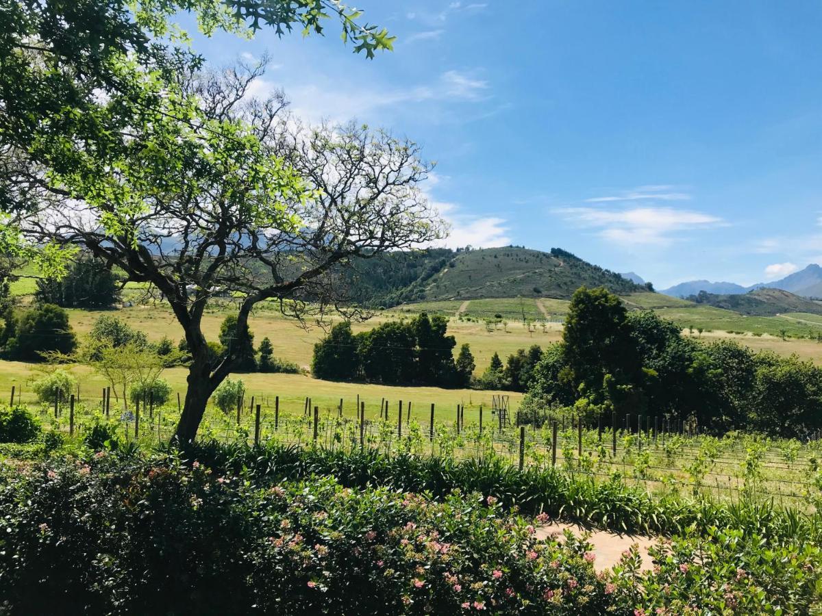 Winelands Guest Room Стелленбос Екстер'єр фото